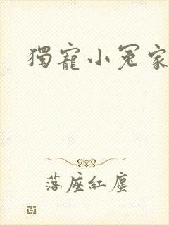 独宠小冤家封面