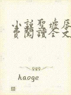 小说圣墟辰东免费阅读全文无窗口封面