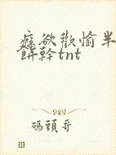 瘾欲欢愉半块小饼干tnt