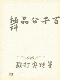 极品公子百度百科
