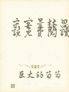 宋宴晨林思微小说免费阅读最新章节封面