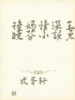 后妈情深王磊杨晓芬小说免费