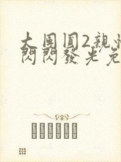 大团圆2亲情会闪闪发光免费封面