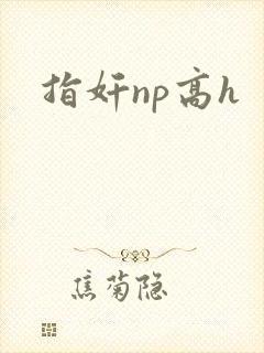 指奸np高h