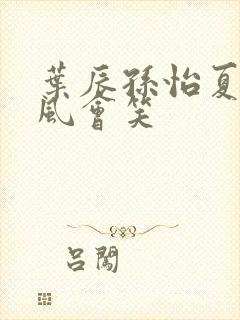 叶辰孙怡夏若雪风会笑封面