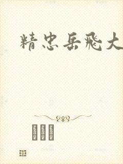 精忠岳飞大结局