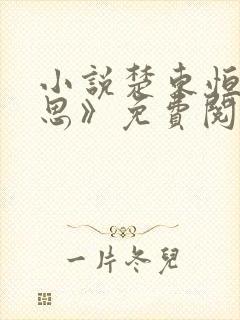 小说楚东恒《心思》免费阅读