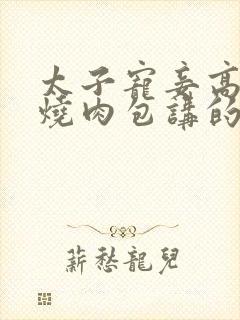 太子宠妾高肉红烧肉包讲的什么