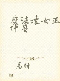 魔法坏女巫讲了什么