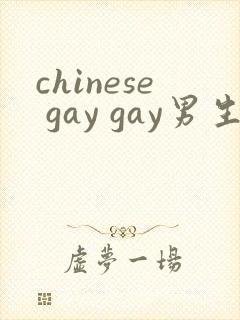 chinese gay gay男生互操网站