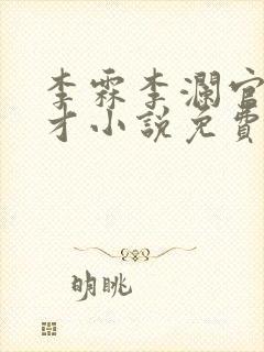 李霖李澜官场奇才小说免费阅读