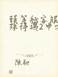 头等舱客服的特殊待遇2中字