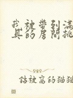 我被带到满是玩具的房间挑调游戏封面