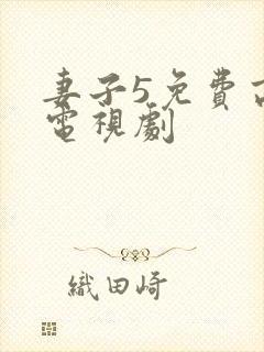 妻子5免费高清电视剧封面