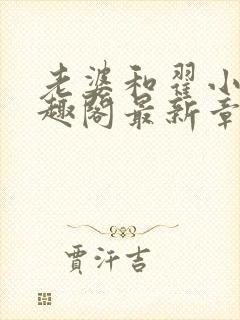 老婆和翟小说笔趣阁最新章节列表