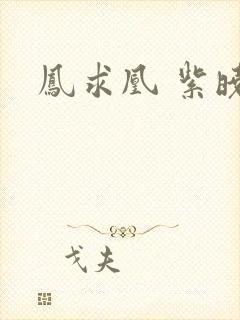 凤求凰 紫晓封面