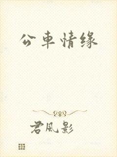 公车情缘