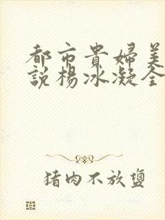 都市贵妇美腿小说杨冰凝全文阅读