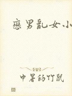恋男乱女小说