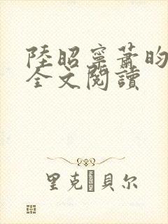 陆昭宁萧昀在线全文阅读