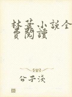 林萧小说全集免费阅读