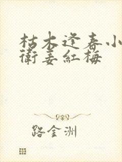 枯木逢春小说老卫姜红梅