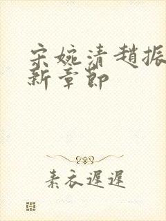 宋婉清赵振国最新章节