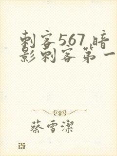 刺客567 暗影刺客第一季封面