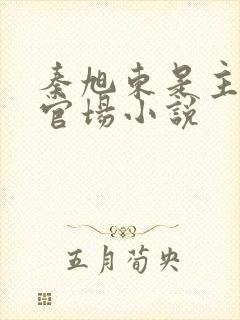 秦旭东是主角的官场小说