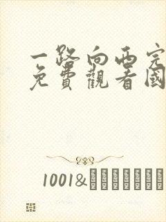 一路向西完整版免费观看国语电影