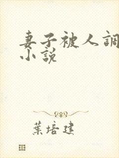 妻子被人调教类小说