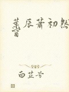 叶辰萧初然无弹窗