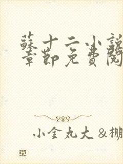 苏十二小说最新章节免费阅读全文封面