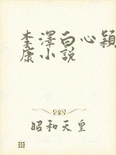 李泽白心颖陆伟康小说
