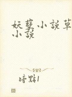 妖孽小说草莓酱小说