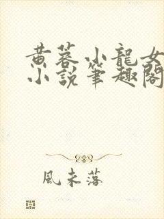 黄蓉小龙女系列小说笔趣阁