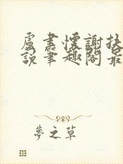 卢聿怀谢扶盈小说笔趣阁最新章节封面