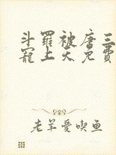 斗罗被唐三哥哥宠上天免费阅读封面