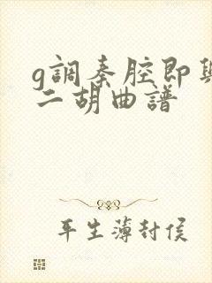 g调秦腔即兴曲二胡曲谱