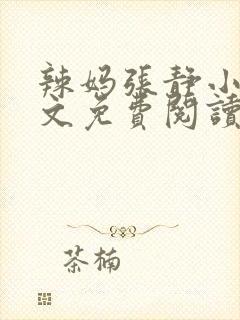 辣妈张静小说全文免费阅读最新章节封面