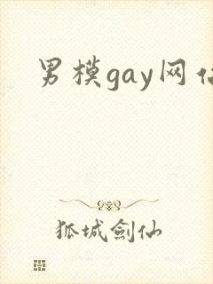 男模gay网站