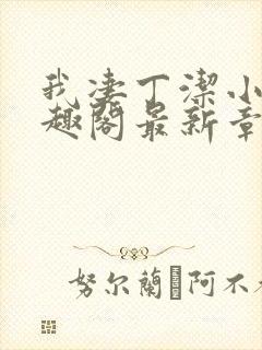 我凄丁洁小说笔趣阁最新章节更新时