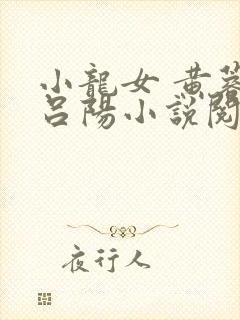 小龙女 黄蓉 吕阳小说阅读
