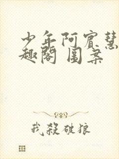 少年阿宾慧钰笔趣阁 图案