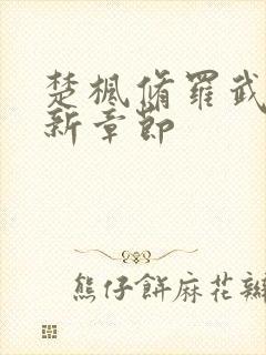 楚枫修罗武神全新章节封面