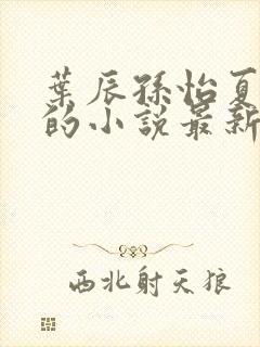 叶辰孙怡夏若雪的小说最新