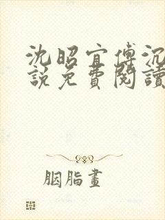 沈昭宜傅沉砚小说免费阅读最新章节