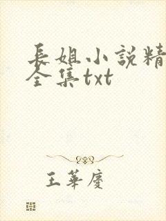 长姐小说精校版全集txt封面