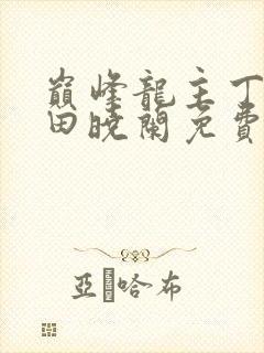 巅峰龙主丁长顺田晓兰免费阅读