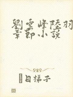 刘云峰陆羽最新章节小说